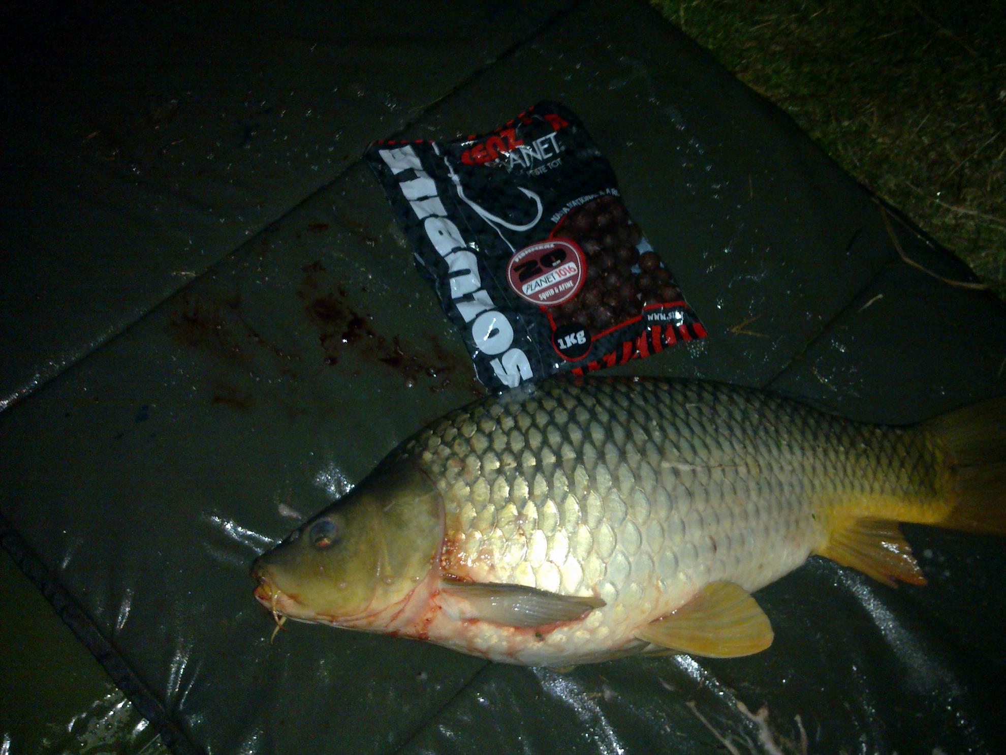 moara vlasiei 2012 - 15092013564.jpg